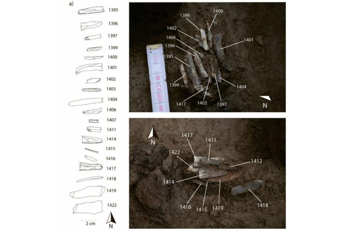 Blade Cluster In Situ; Two Phases Of Micro Excavation