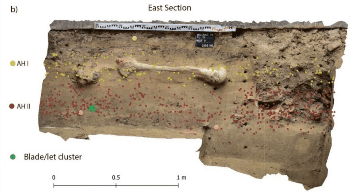Blade Cluster Projected With Other Artefacts From Ah I And Ah Ii On Eastern Section Of M Iv