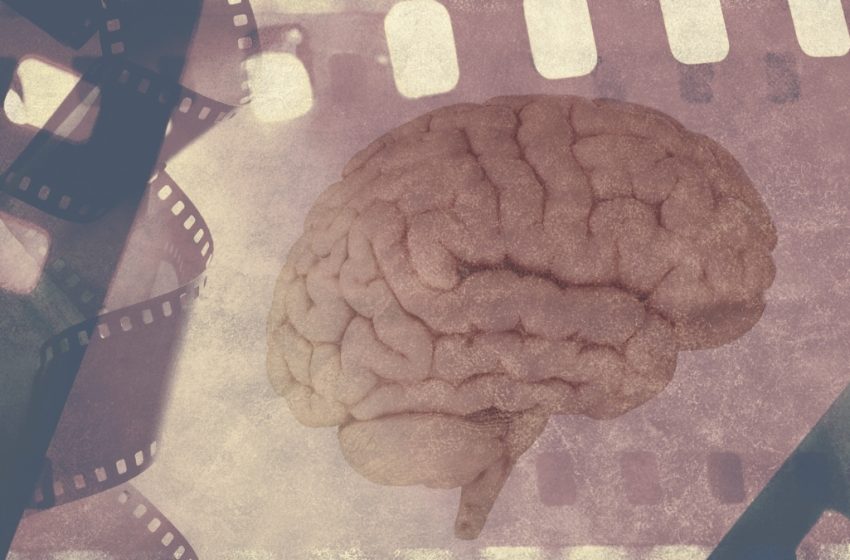 Memory Loss in Alzheimer’s Linked to Problems With The Brain’s ‘Replay Mode’ : ScienceAlert