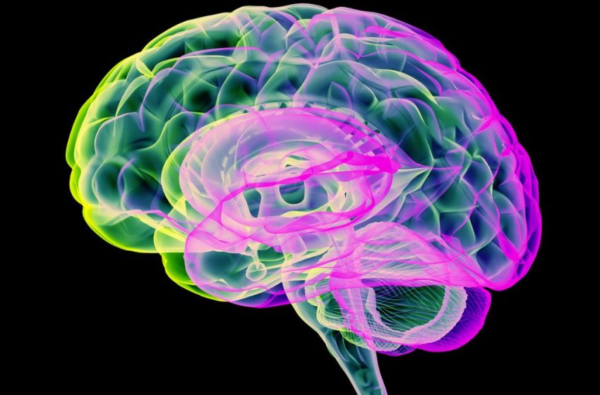  Carbon Dioxide ‘Pulses’ Clears Toxins From Parkinson’s Brains in Recent Study : ScienceAlert