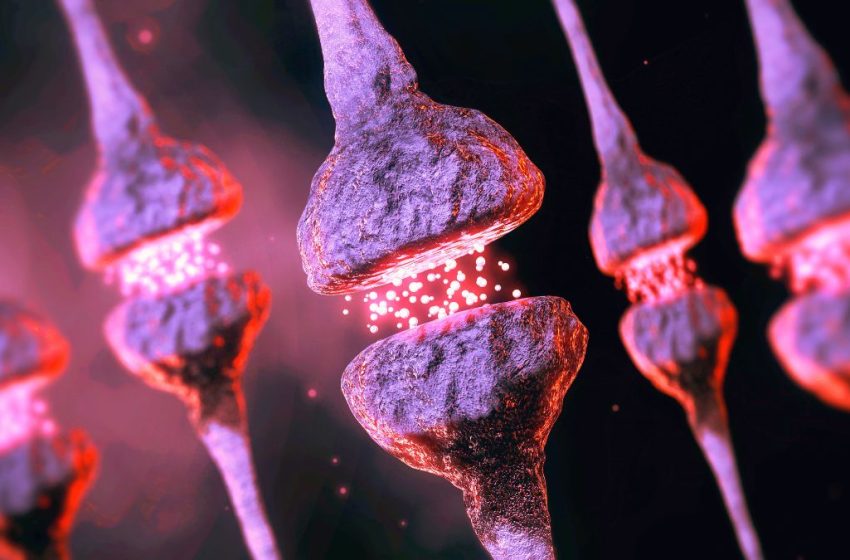  A Hidden Brain Process May Help Explain Why Alzheimer’s Risk Rises With Age : ScienceAlert