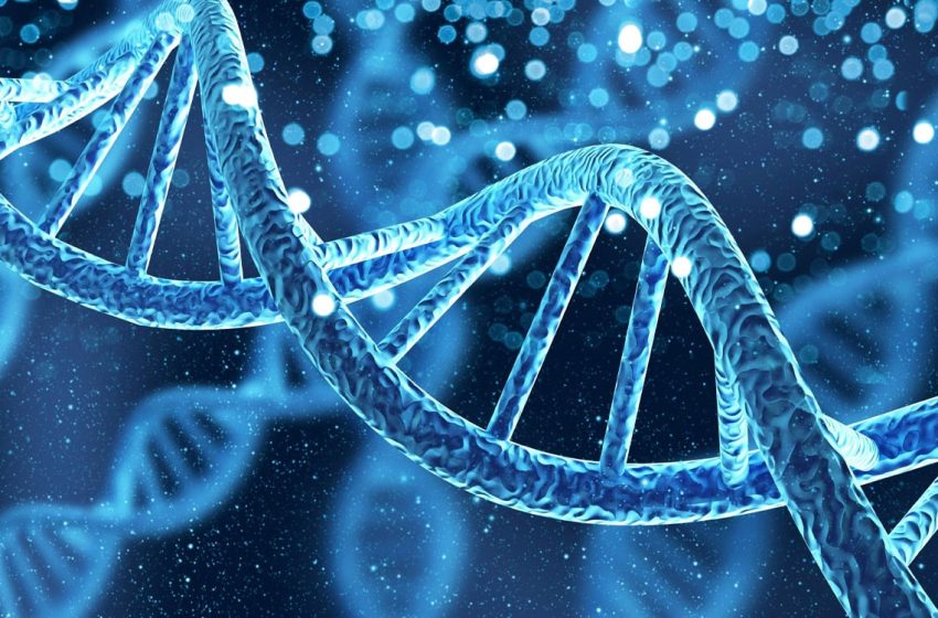  Genetic risk for anhedonia linked to altered brain activity during reward processing