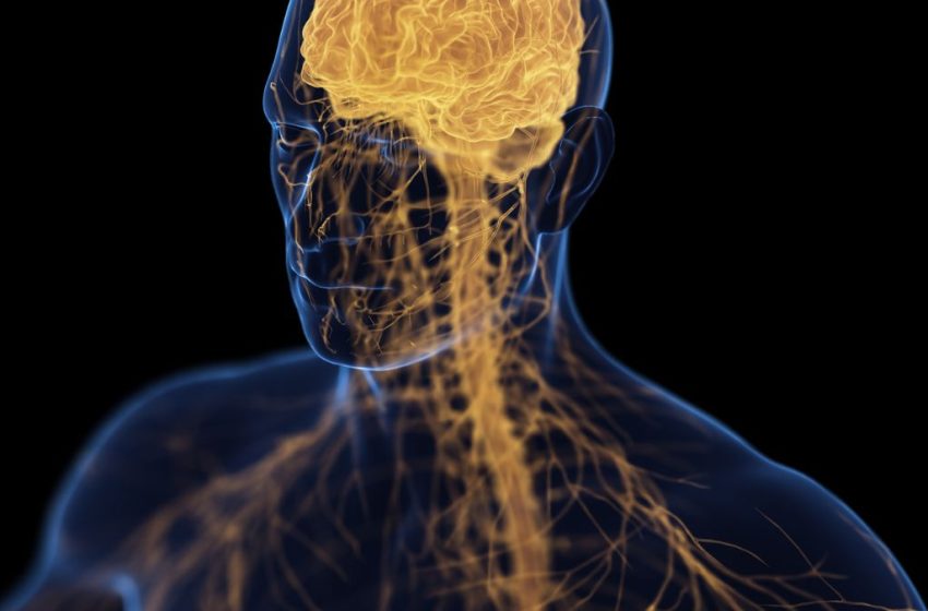  ‘Brain-Bone-Axis’ May Link Depression With Osteoporosis, Study Claims : ScienceAlert