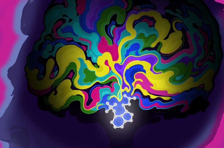  Psychedelics may rewire the brain to treat PTSD. Scientists are finally beginning to understand how.
