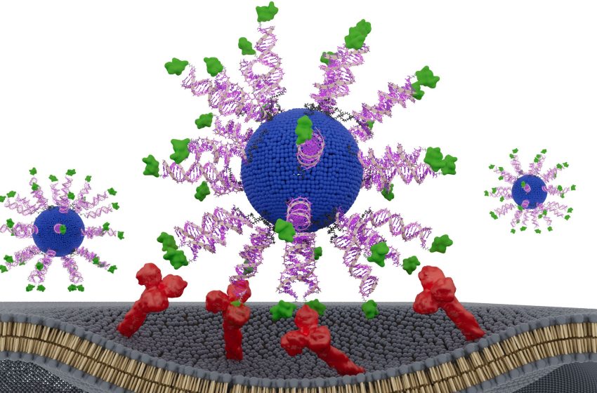  Cancer vaccine shows promise against HPV-related throat tumors in early study