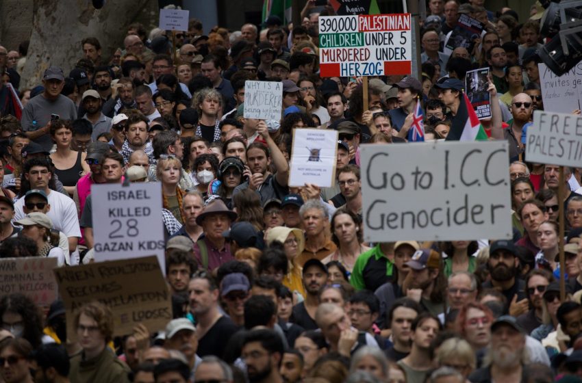  Amnesty International Australia calls for independent investigation of police violence towards peaceful protestors