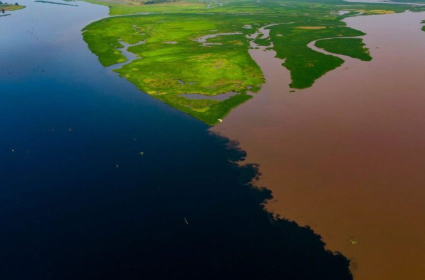  Earth’s Largest Land-Based Carbon Sink Has Sprung a Disturbing Leak