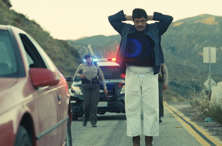  Why Hollywood Studios Are Pulling Back From Festival Premieres