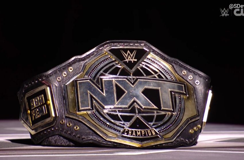  New WWE NXT Champion crowned in ladder match