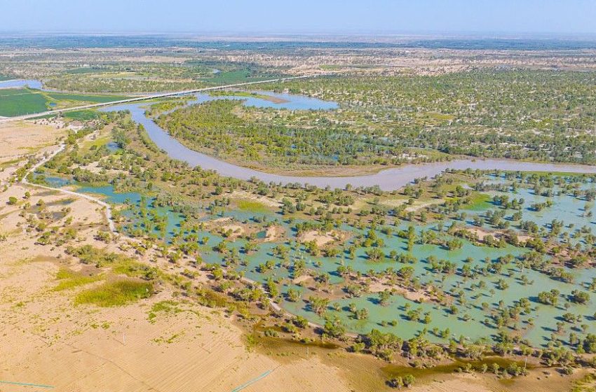  China has planted so many trees around the Taklamakan Desert that it’s turned this ‘biological void’ into a carbon sink