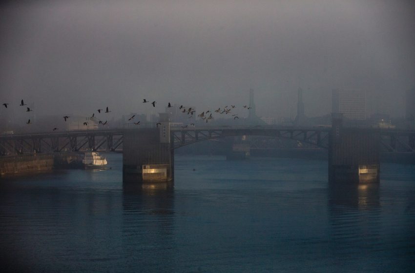  ‘We are in a recession,’ Portland economist warns