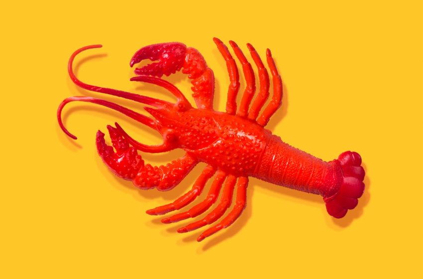  After all the hype, some AI experts don’t think OpenClaw is all that exciting