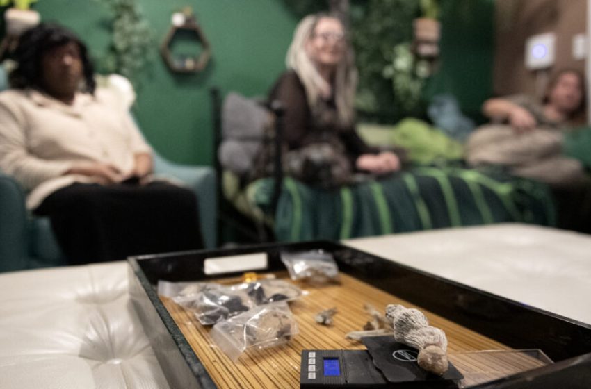  What I learned from psychedelics: The guides, not the drug, are key