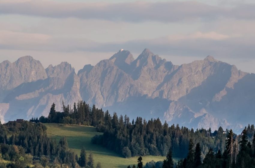  The week the EU’s climate foundations started to shake – POLITICO