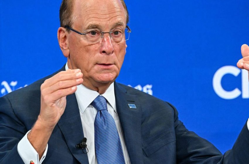  BlackRock’s Larry Fink warns Americans have saved egregiously less than they need for retirement