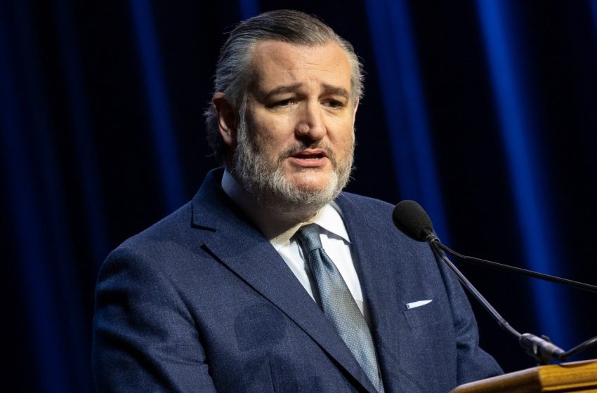  Ted Cruz Bashes Billie Eilish Grammy Speech During Netflix Hearing