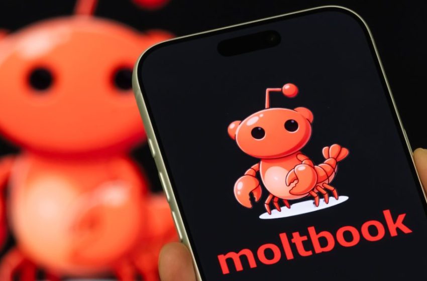  Top AI leaders are begging people not to use Moltbook: It’s a ‘disaster waiting to happen’