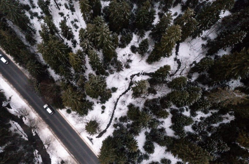  Obsession with growth is destroying nature, 150 countries warn – POLITICO