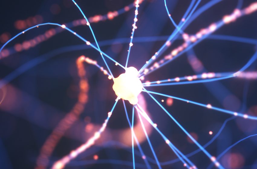  Missing Link Between Parkinson’s Protein And Damage to Brain Cells Discovered : ScienceAlert