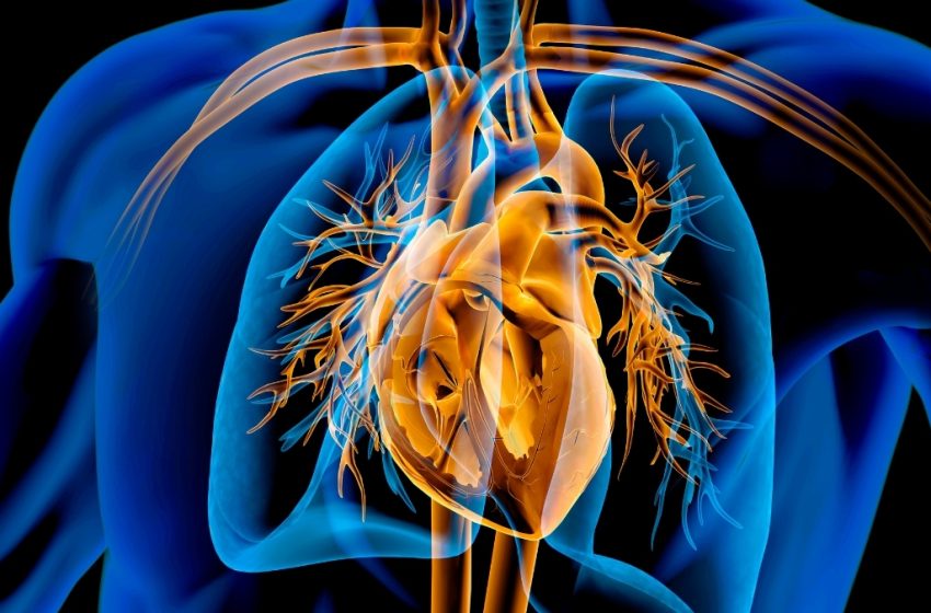  Semaglutide Pill Shows Heart Benefits in One Key Group, Study Finds : ScienceAlert
