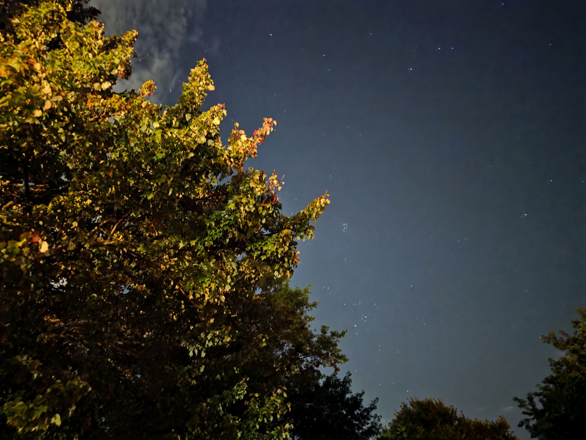 Samsung Galaxy S25 Ultra low light sample.