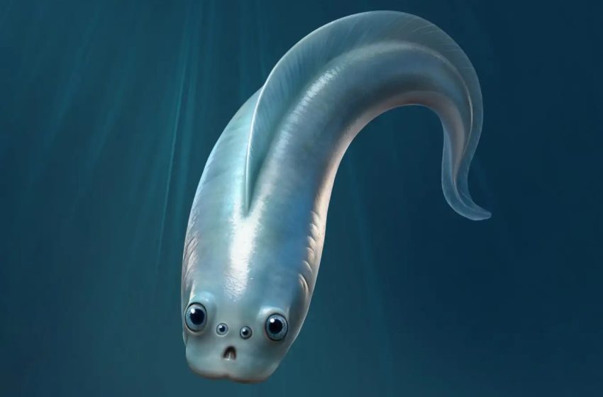  Finally! An Ancient Fish That Understood Life’s Terrors