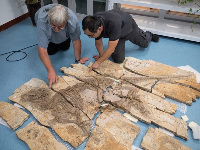 Strange Spiky Dinosaur Sported Skin Unlike Anything We've Ever Seen Before