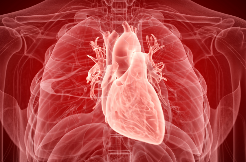  Diagnostic dilemma: Man’s autopsy reveals unexpected ‘boomerang-shaped’ structure in his heart