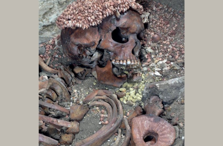  This May Be the Oldest Known Victim of a Bear Attack—and It’s Brutal