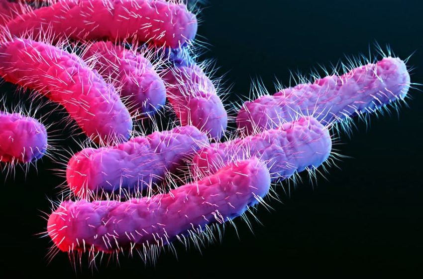  Bacteria causing intense stomach complications sees uptick in Broome County