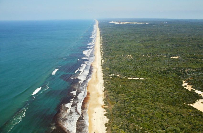  “Never seen before.” Scientists make astounding discovery on Australian island