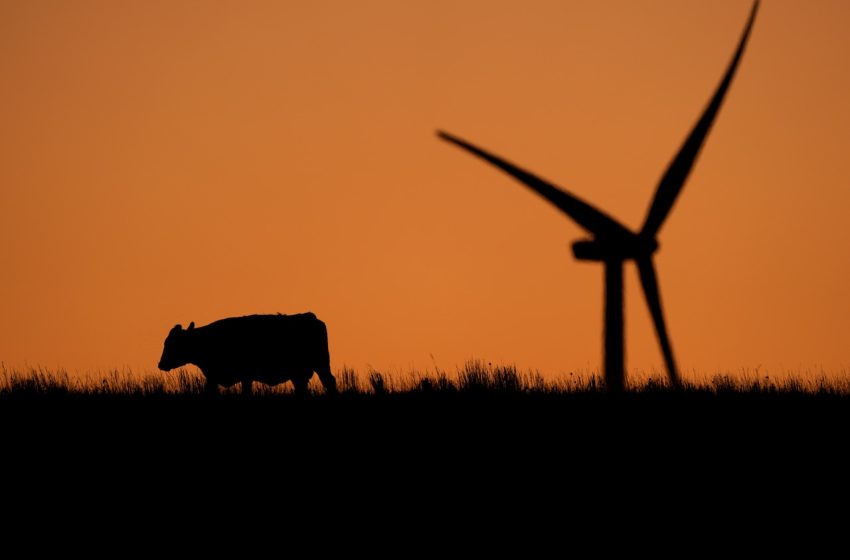  COVID lockdowns caused methane surge: Study reveals air pollution paradox