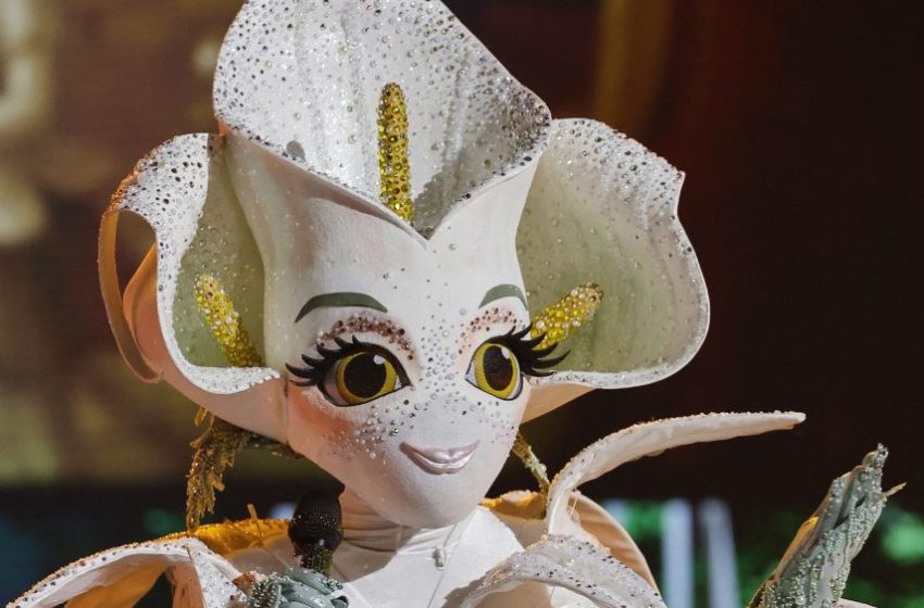  The Masked Singer Season 14 Episode 5 Recap: Calla Lily Revealed
