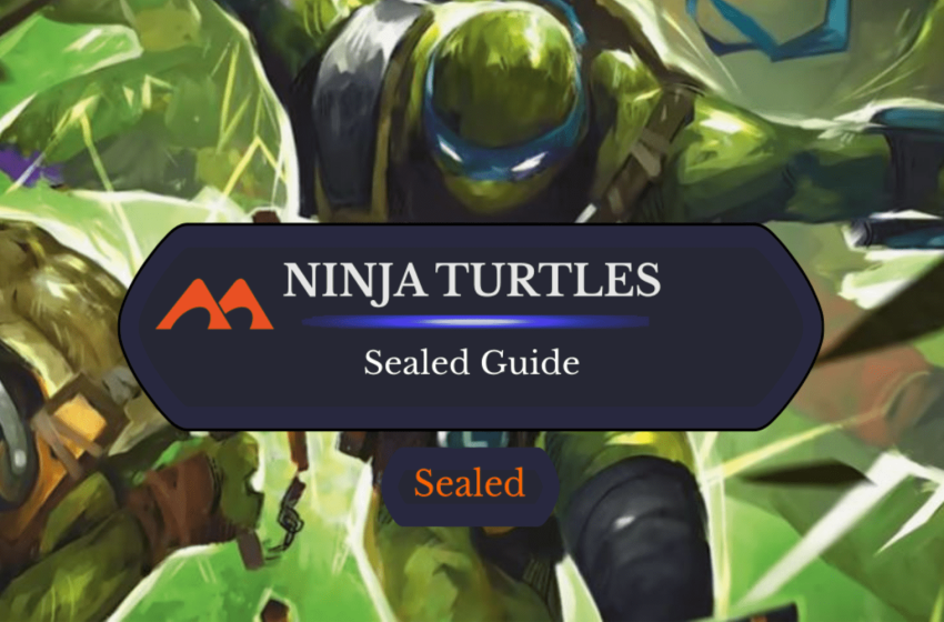  The Ultimate Guide to Teenage Mutant Ninja Turtles Sealed
