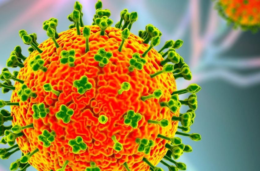  Nipah Virus Outbreak Has Asia on High Alert Amid Deaths in India : ScienceAlert