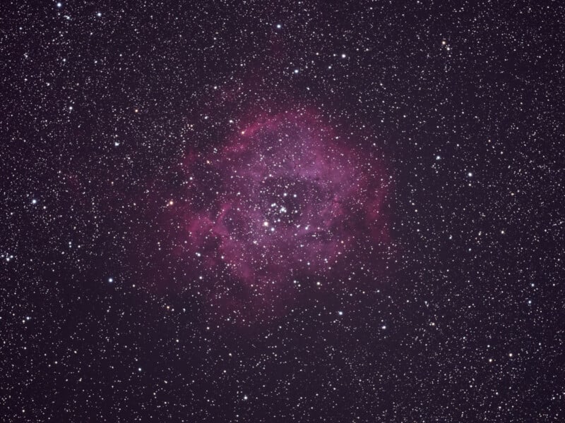 A bright pink nebula with a cluster of stars at its center, surrounded by numerous white stars scattered across the dark night sky.
