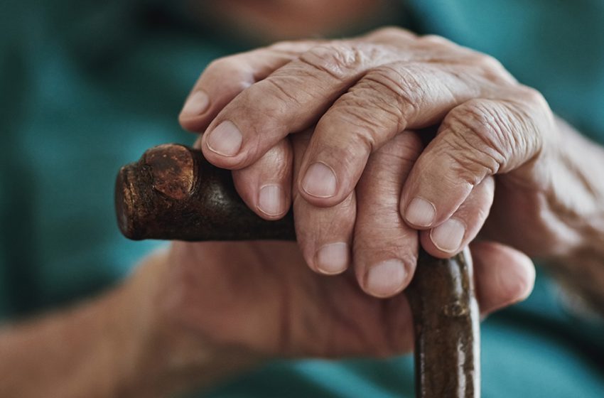  We Were Wrong About How Much Your Genes Shape Your Lifespan : ScienceAlert
