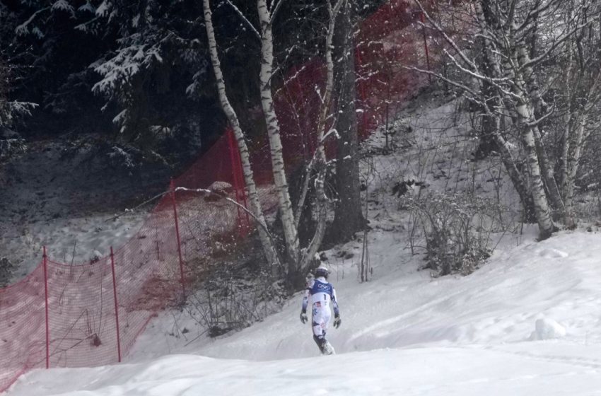  Olympic Skier Explains His Walk to the Woods