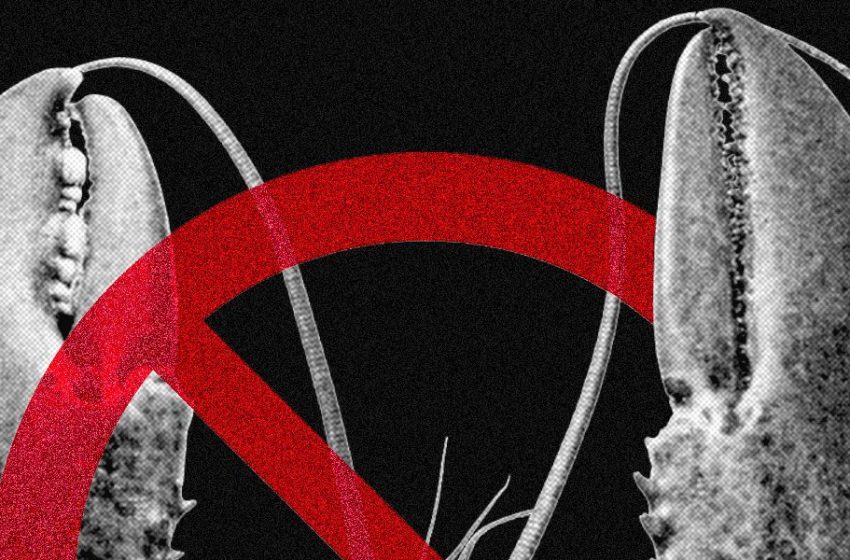  Meta and Other Tech Firms Put Restrictions on Use of OpenClaw Over Security Fears