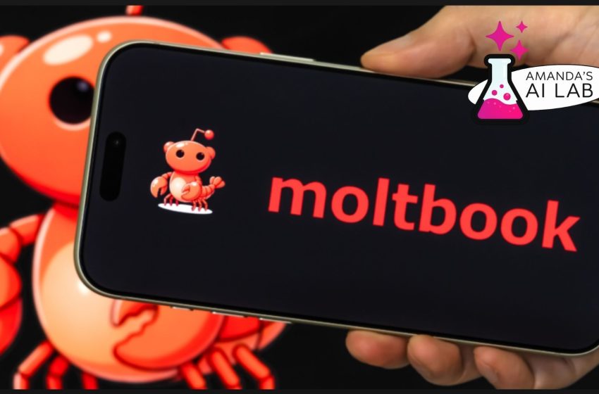  I used ChatGPT to build a Moltbot and get on Moltbook — here’s exactly how I did it