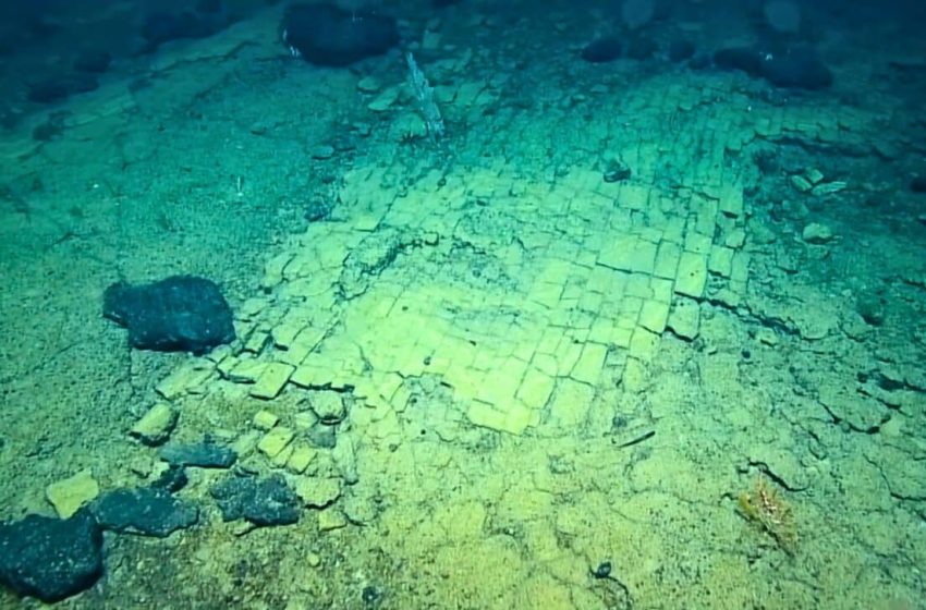 Scientists Uncover a Mysterious “Yellow Brick Road” 3,000 Meters Beneath the Pacific Ocean Floor