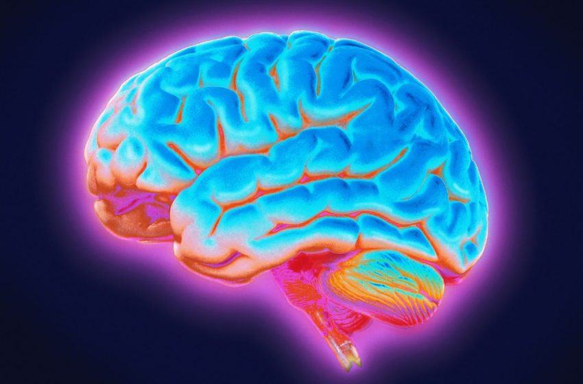  Parkinson’s May Emerge From a Deeper Brain Network Than We Thought : ScienceAlert