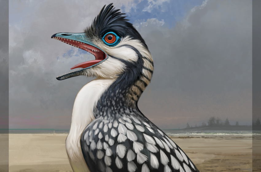  Archaeopteryx, one of the world’s first proto birds, has a set of weird, never-before-seen features, new study reveals