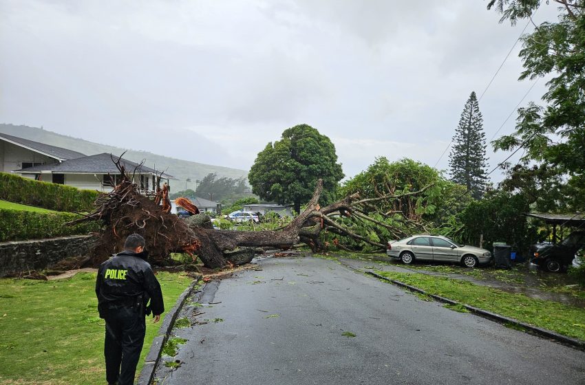  Hawaiʻi Storm Latest: State Shuts Down, 1,000s Lose Power