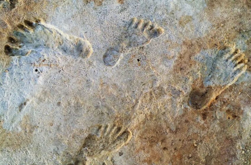  Scientists Have Discovered Ancient Human Footprints Buried in Remote Desert Sands