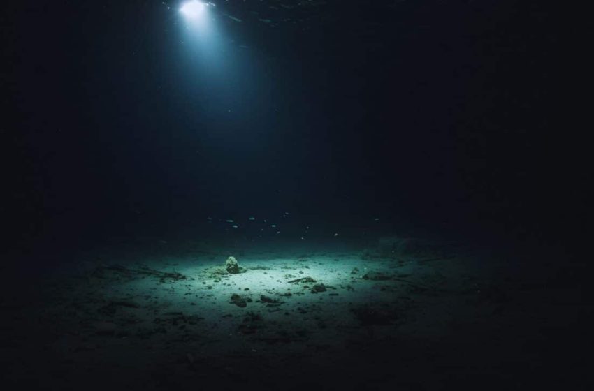  Scientists Just Found a Fossil at the Bottom of the Ocean. Here’s What It Reveals About Our Ancestors!