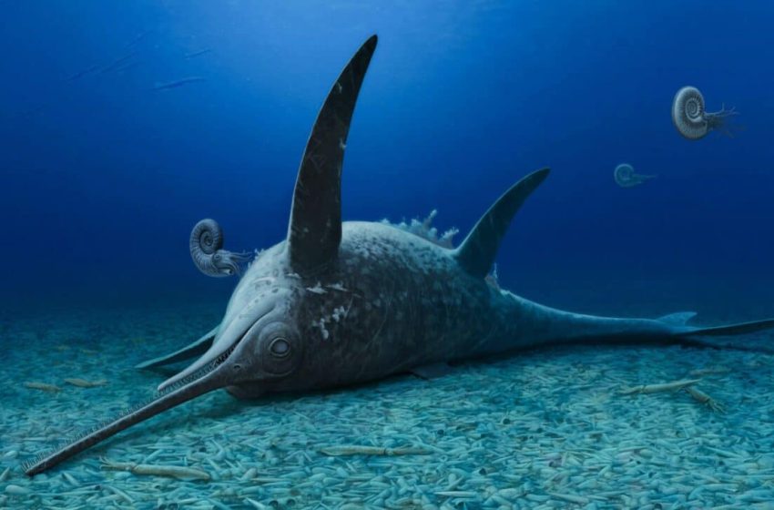 Scientists Unearth “Sword Dragon” Fossil Skeleton from UK Coast, Revealing a New Look at Prehistoric Life