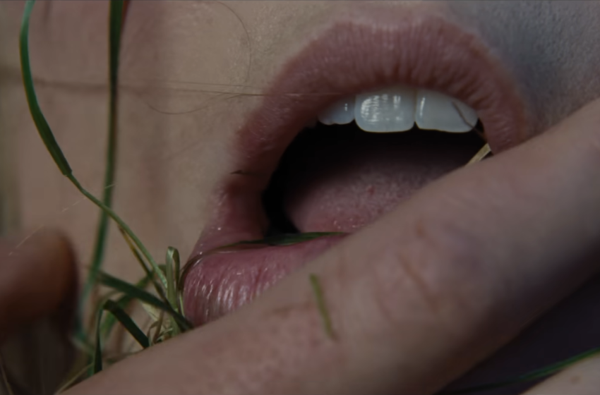  Emerald Fennell Now Going Moor-To-Moor Trying To Shock People