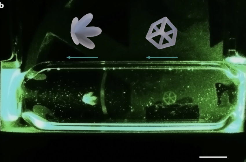  Sub-Second Volumetric 3D Printing | Hackaday