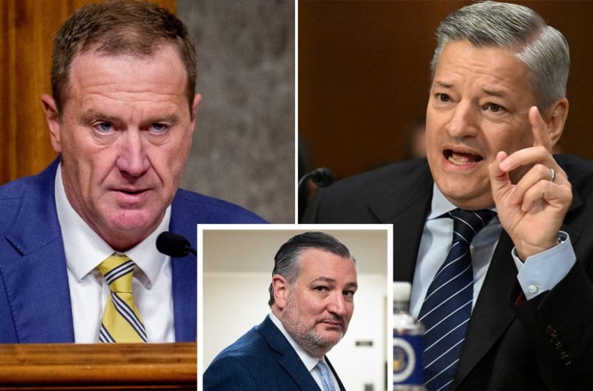  Netflix Attacked By MAGA Senator At WB Deal Hearing: “Wokest Content In History”